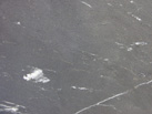 Ʒ - ARAVALI