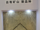 Ʒ - ʯ