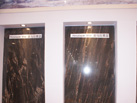ϲ - GANDHI MINING GROUP(INDIA)