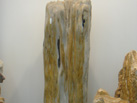 Ʒ - stone selected by nature