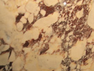 Ʒ - EFESUS STONE