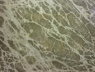 Ʒ - MCDUS STONE