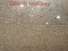 G650B