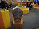 展会